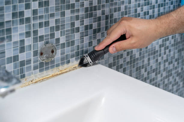 Best Certified Mold Removal  in South Paris, ME
